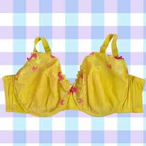 Cacique Women's 50D Unlined Balconette Strawberries Lace Embroidered Bra